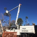 M & H Tree Service - Tree Service