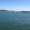 Edgartown Harbor gallery