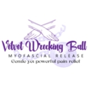 Velvet Wrecking Ball Myofascial Release - Alternative Medicine & Health Practitioners