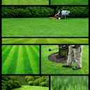 Old Field Landscapes - Landscape Designers & Consultants