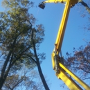 A+ Tree & Crane Services, Inc - Landscape Designers & Consultants