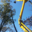 A+ Tree & Crane Services, Inc