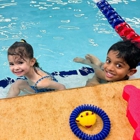 Aqua-Tots Swim School Amherst