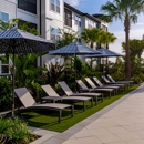 Ascend Citrus Heights