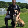 Minnesota Canine Consulting gallery