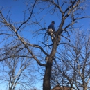 Happy Tree Trimming - Arborists