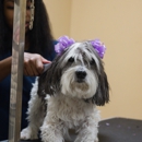 Barkwood Pet Resort - Pet Boarding & Kennels