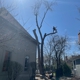 Tomax Tree Service