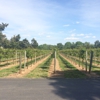 Buckingham Valley Vineyards gallery