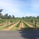 Buckingham Valley Vineyards - Fruit & Vegetable Growers & Shippers