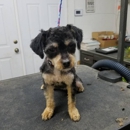 Happy Tails Groom & Board - Pet Boarding & Kennels