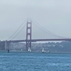 Vondran Legal Software and Copyright Litigation Law Firm gallery
