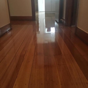 Gallery Image Number 7