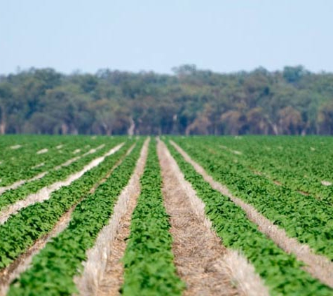 Agracom Pty Ltd - Quirindi, NSW