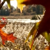 Sandy Ridge Reservation gallery