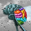 IN Focus First, Psychiatry Simplified Carmel gallery