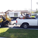 Rivera Tree Service - Tree Service