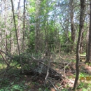 Hoover's Professional Tree Service - Landscape Contractors
