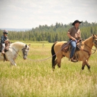 The Diamond P Ranch