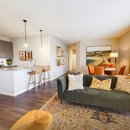 Sheldon Park Apartments - Apartments