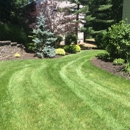 All County Lawn Care Tree & Shrub - Fertilizing Services