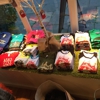 Picnic gallery