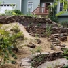 The Yard Bro gallery