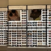 LensCrafters gallery