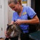 Wright Chiropractic - Medical Clinics