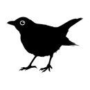Blackbird Ordinary - Cocktail Lounges