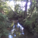 Beaman Park Nature Center - Parks