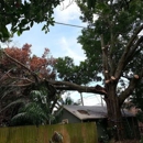 Valid Impressions Tree Service