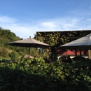 La Casa Narcisi Winery - Wineries