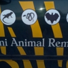 Miami Animal Removal gallery