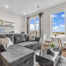 The Leo - Apartments