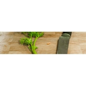 Gallery Image Number 7