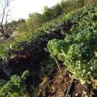 Boggy Creek Farm