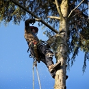 TreeCareHQ Bethany - Arborists