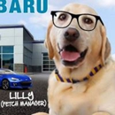 CMA's Valley Subaru - New Car Dealers