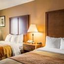 Comfort Inn Asheville Airport - Motels