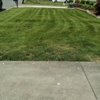 Elite Lawn Care Specialists LLP gallery