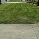 Elite Lawn Care Specialists LLP - Gardeners
