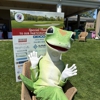 Melissa Matassa - GEICO Insurance Agent gallery