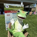 Melissa Matassa - GEICO Insurance Agent - Insurance