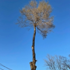 The Bucking Arborists