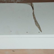 Gallery Image Number 1
