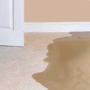 Dri Pro Restoration - Water Damage Restoration