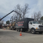 Whitledge Tree Service
