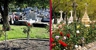 Karrakatta Cemetery