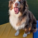 Canine Social of Troy - Pet Grooming